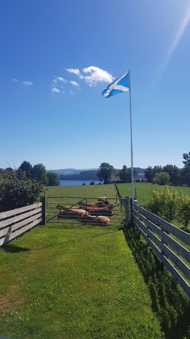 Cosy 2 Bedroom Croft Cottage With Beautiful Views North Kessock Exterior foto